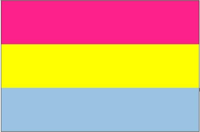 Flagge Pansexuell 90*150