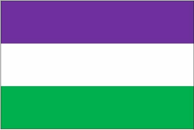 Flagge Genderqueer 90*150