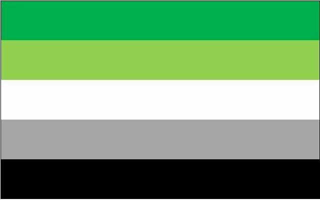 Flagge Aromantisch 90*150cm