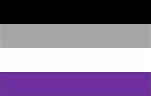 Flagge A-sexuell 90*150cm