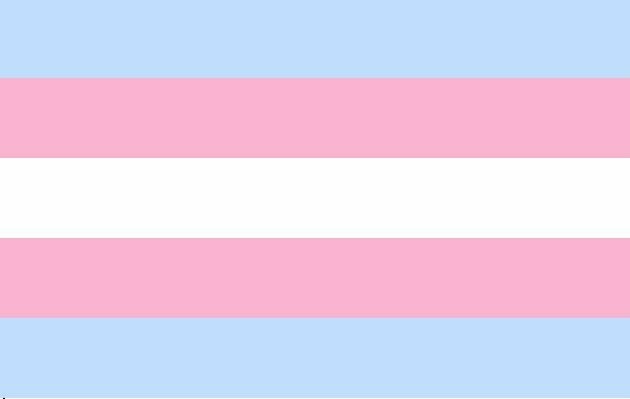 Flagge Transgender 90*150cm