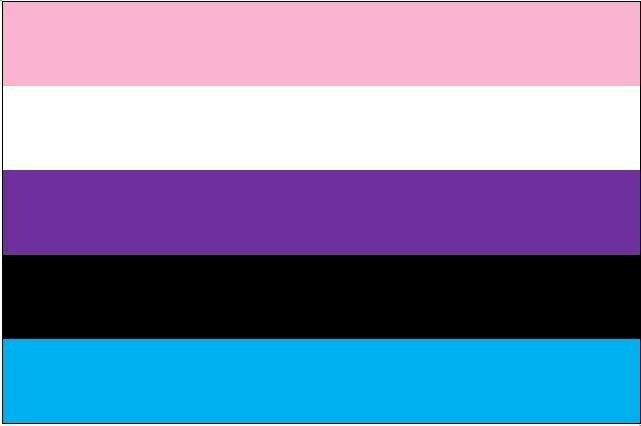 Flagge Genderfluid 90*150