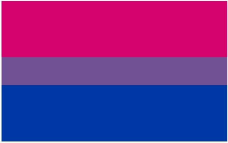 Flagge Bisexuell 90*150