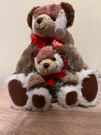 Teddy 2024 Duo