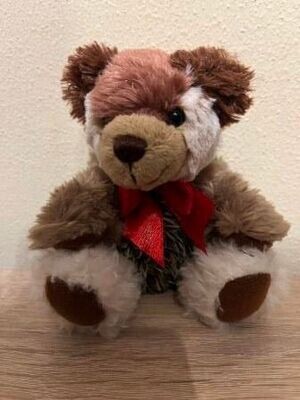 Teddy 2024