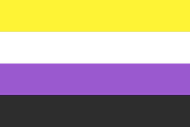 Flagge Non Binary 90*150cm