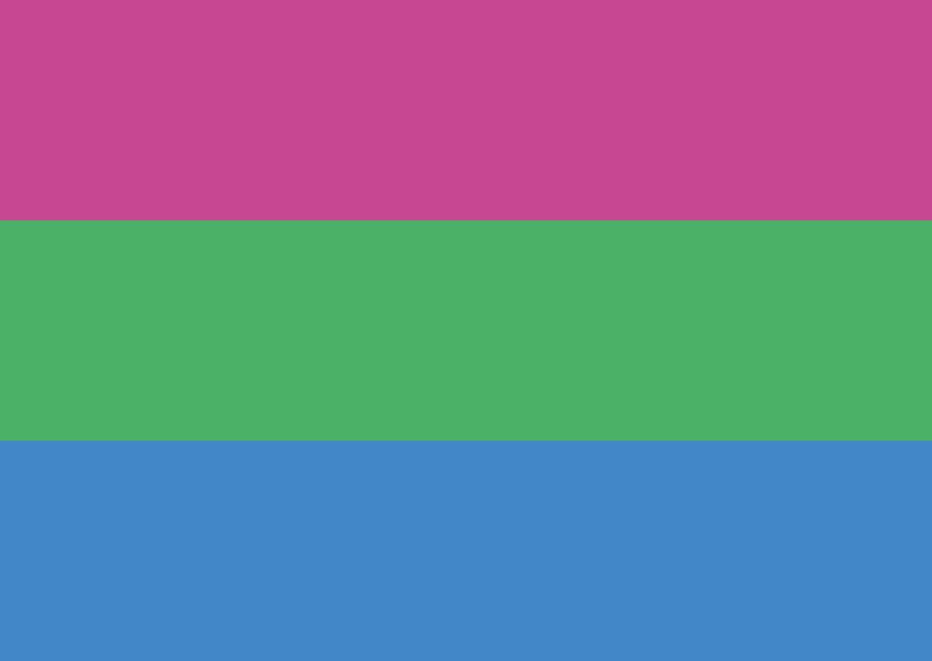 Flagge Polysexuell 90*150