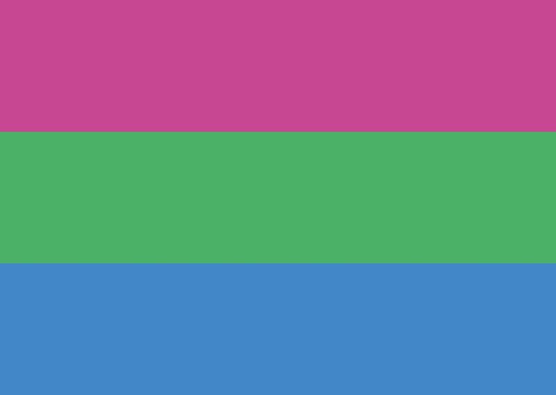 Flagge Polysexuell 90*150