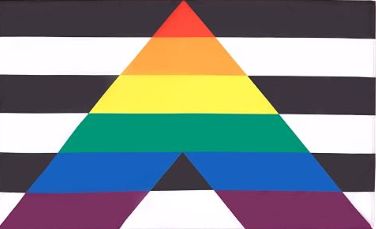 Flagge Straight Ally 90*150