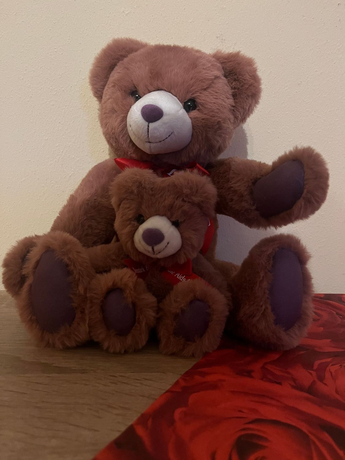 Teddy 2026 Duo