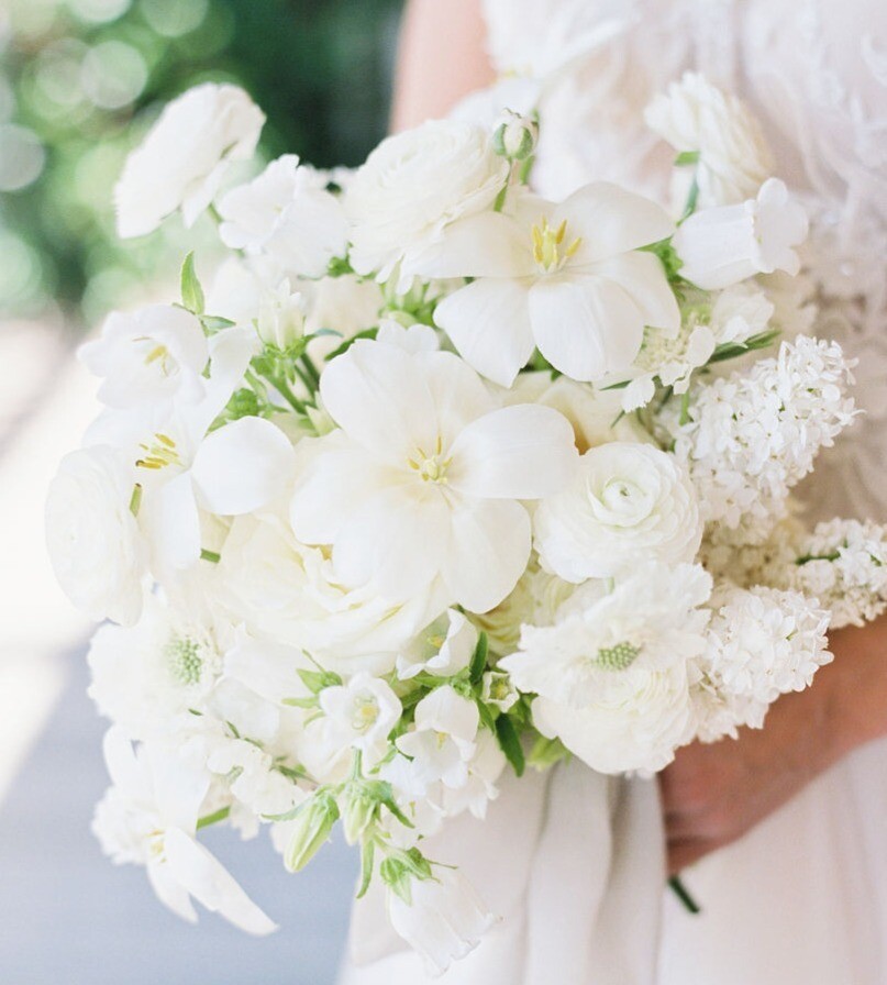 White & Green White & Green