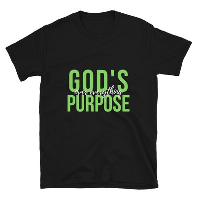God's Purpose Over Everything