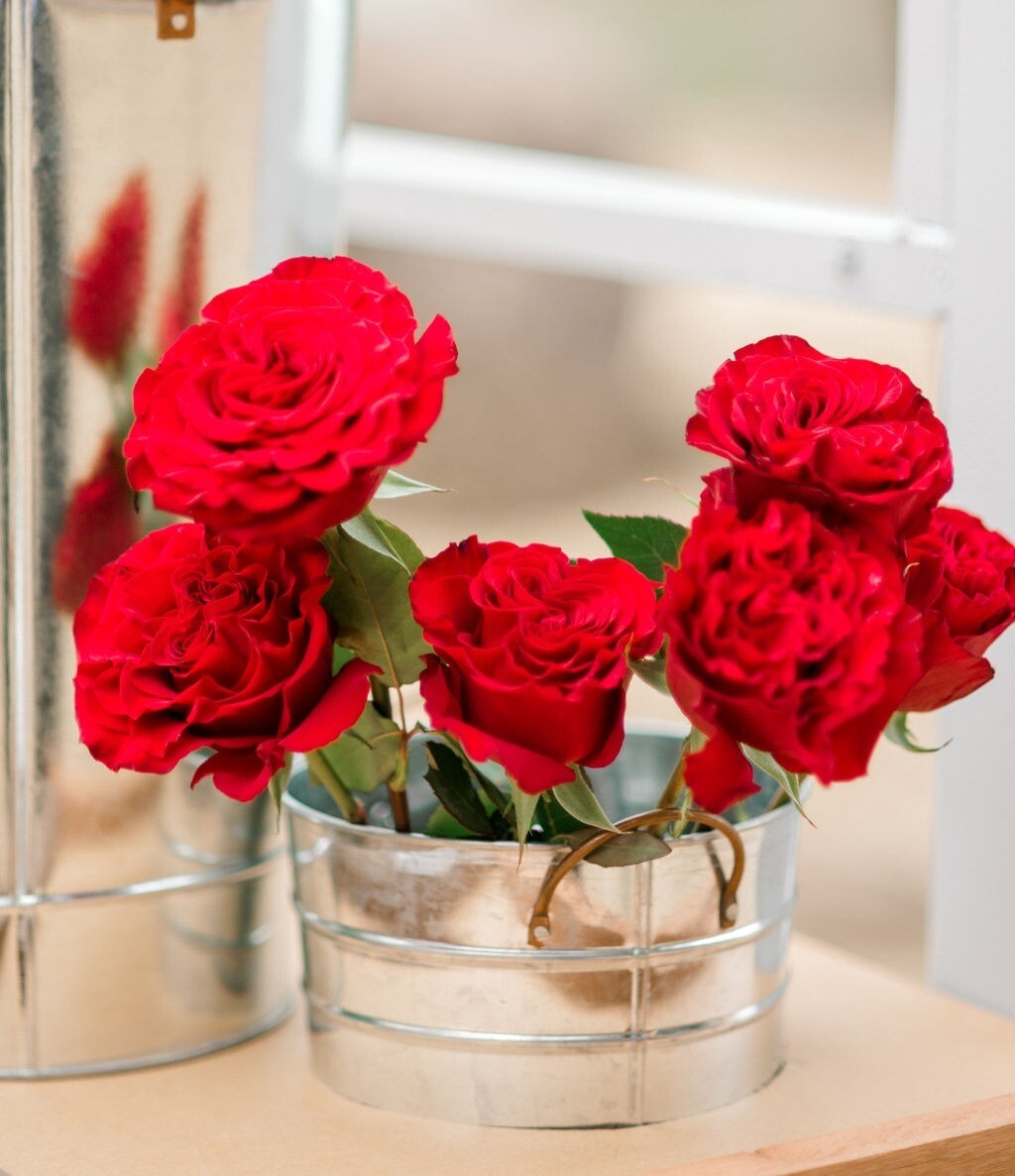 Half Dozen Of Red Roses Half Dozen Of Red Roses