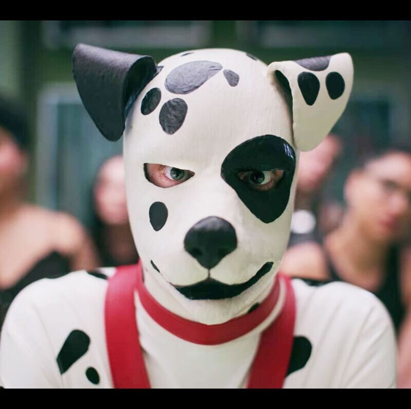Puppy Package - BASIC