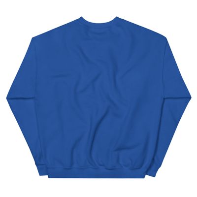 Website Sweatshirt