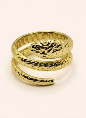 Serpent Embrace