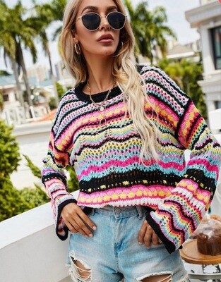 Crochet Multi Color Sweater