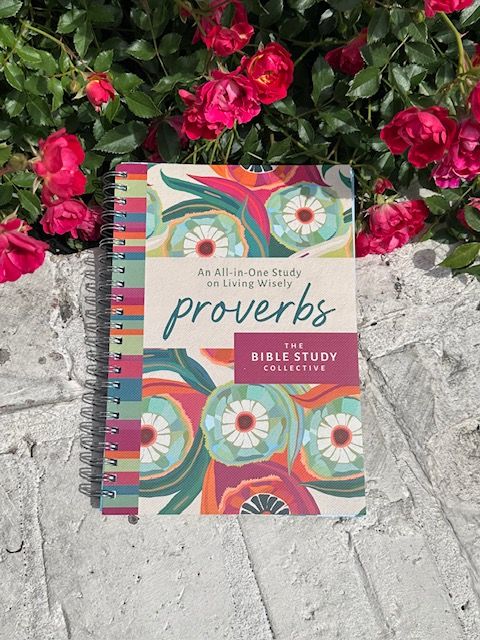 Proverbs: An All In One Study On Living Wisely