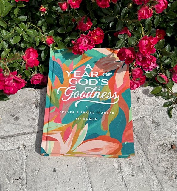 A Year Of God's Goodness