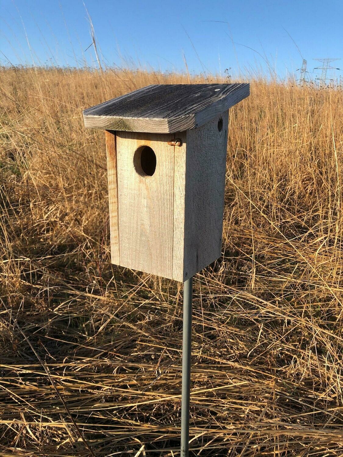 Square Bluebird House Non-members' Price Square Bluebird House Non-members' Price