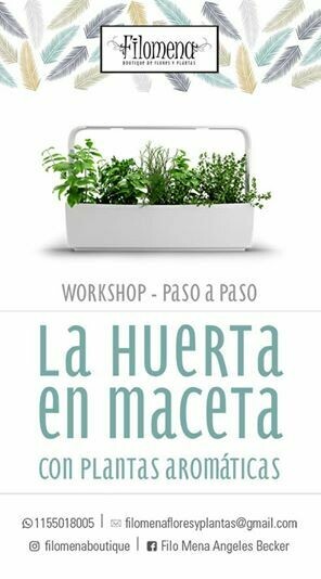 Workshop Digital