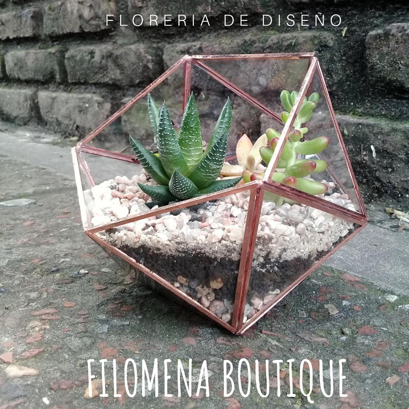 Terrario Primo Nido