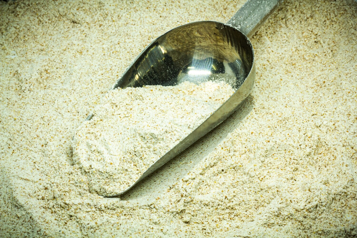 Wholemeal Wheat Stoneground Flour ORG