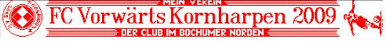 Auto Fanschal