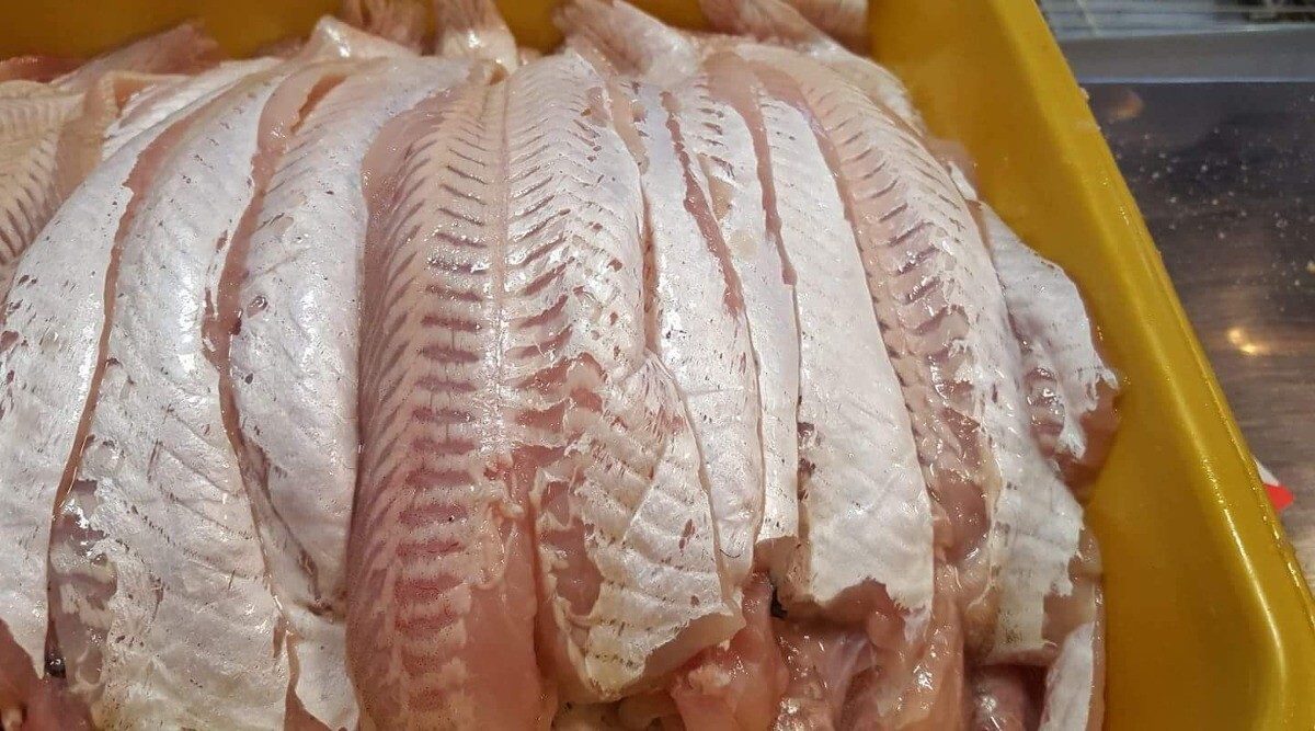 FILET DE MERLUZA FRESCO SIN ESPINAS