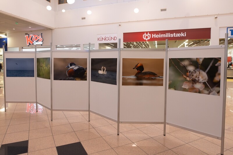 Sýningarkerfi og posterveggir