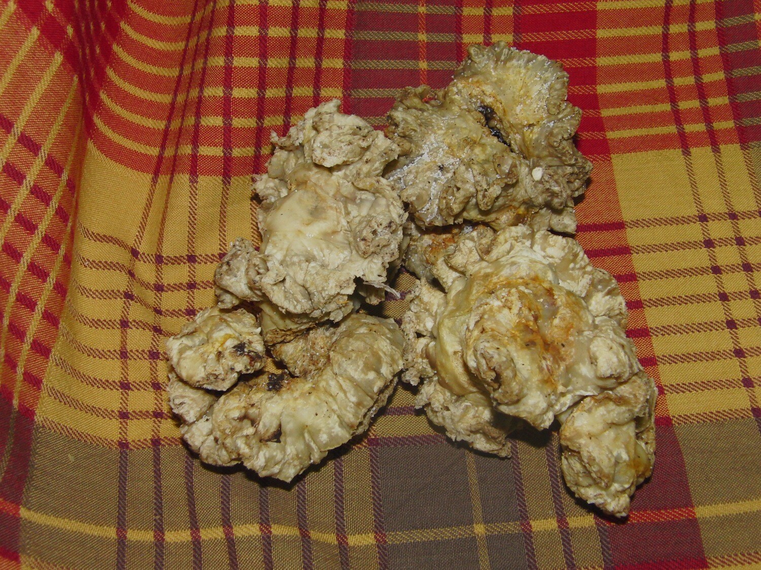 Chicharrón