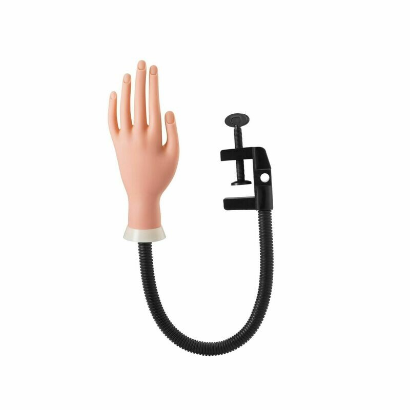 Pollie Mano de Prácticas manicura flexible Con Soporte