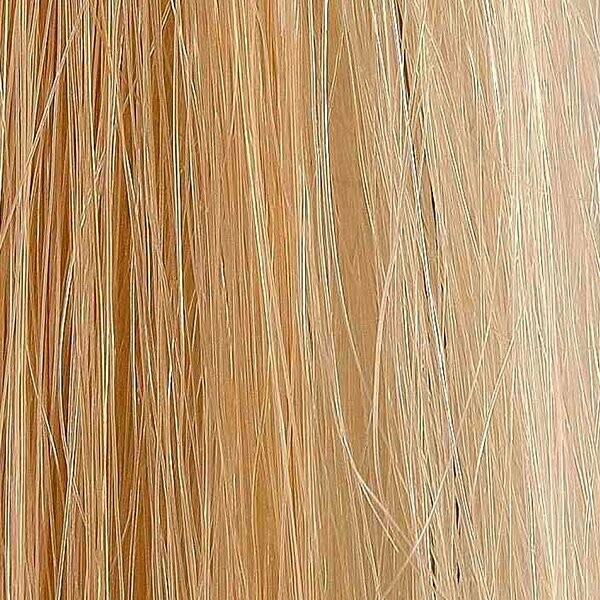 Extensiones de pelo bioadhesivas 12pcs 4x50cm color #22/9