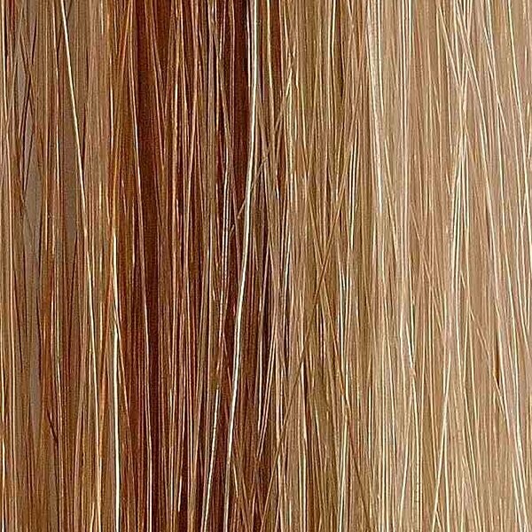 Extensiones de pelo bioadhesivas 12pcs 4x50cm color #8/22