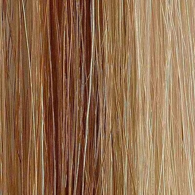 Extensiones de pelo bioadhesivas 12pcs 4x50cm color #8/22