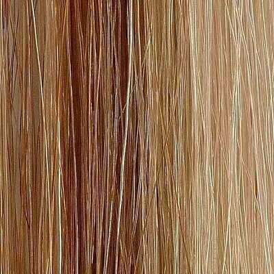 Extensiones de pelo bioadhesivas 12pcs 4x50cm color #8/22