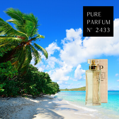 Pure Parfum nº 2433 | Unisex 50ml