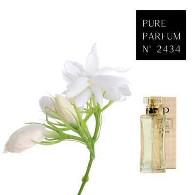 Pure Parfum nº 2434 | Mujer 50ml