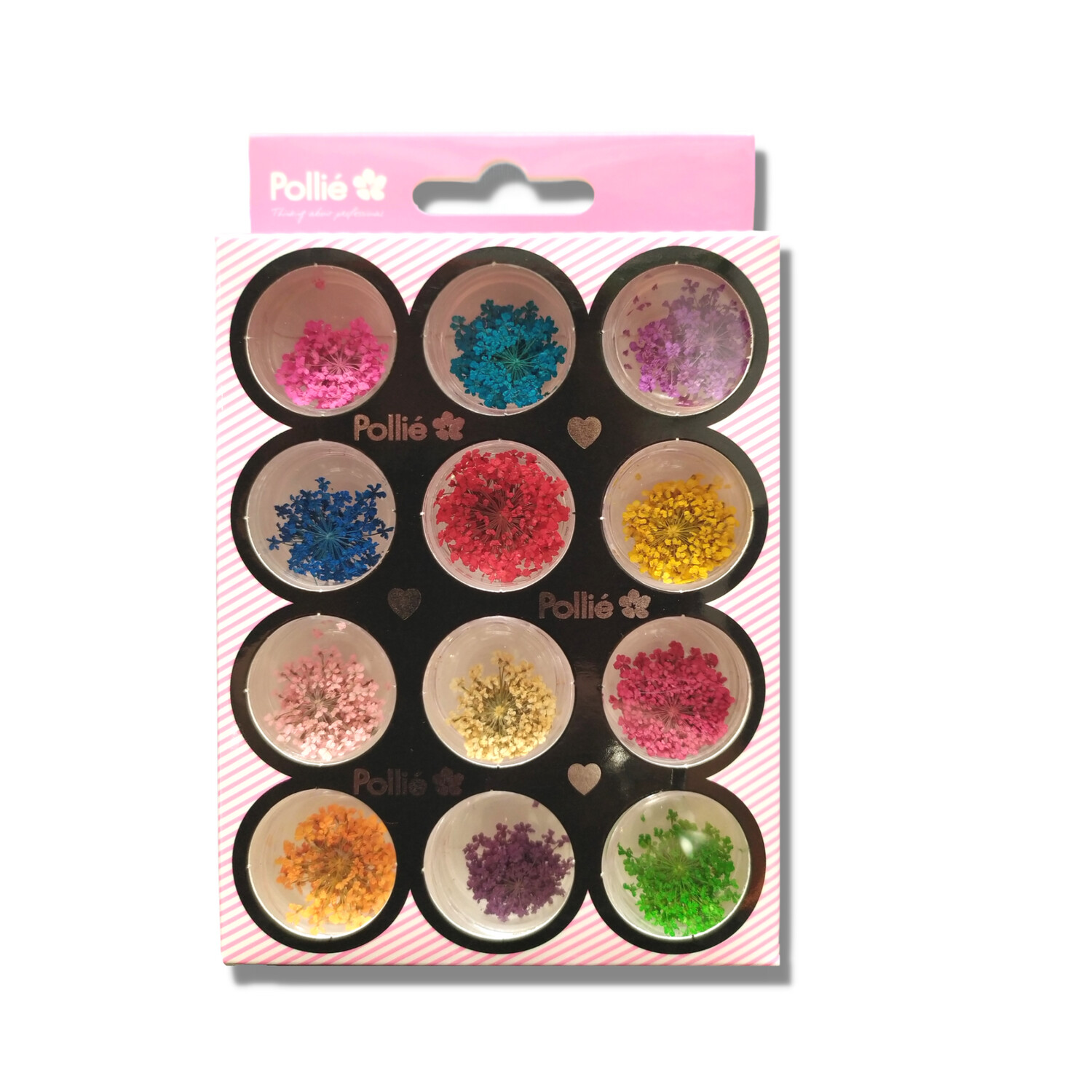 Pollie Flores Secas Para Decoración de Uñas 12 colores
