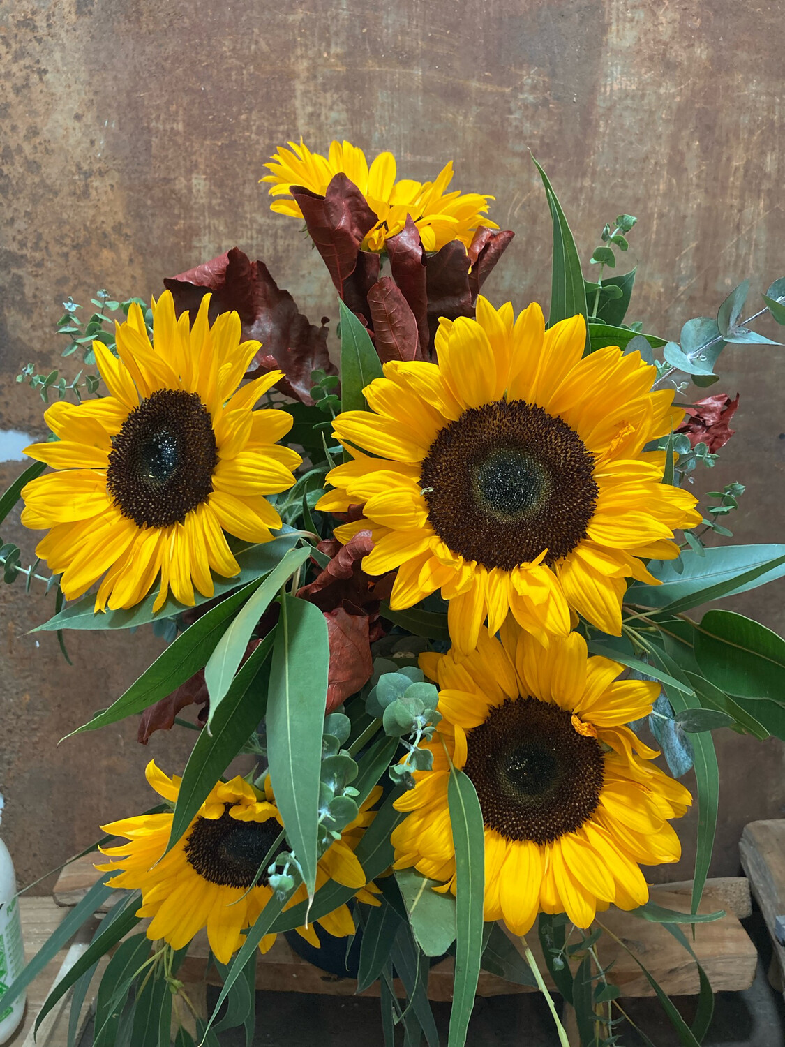 Ram de gira-sols Sunflower
