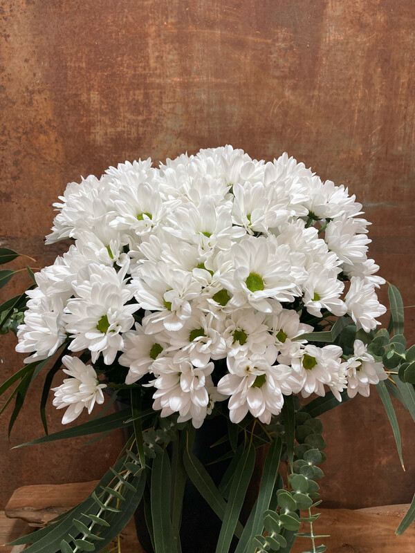 Ram Margarita blanca amb eucaliptus 