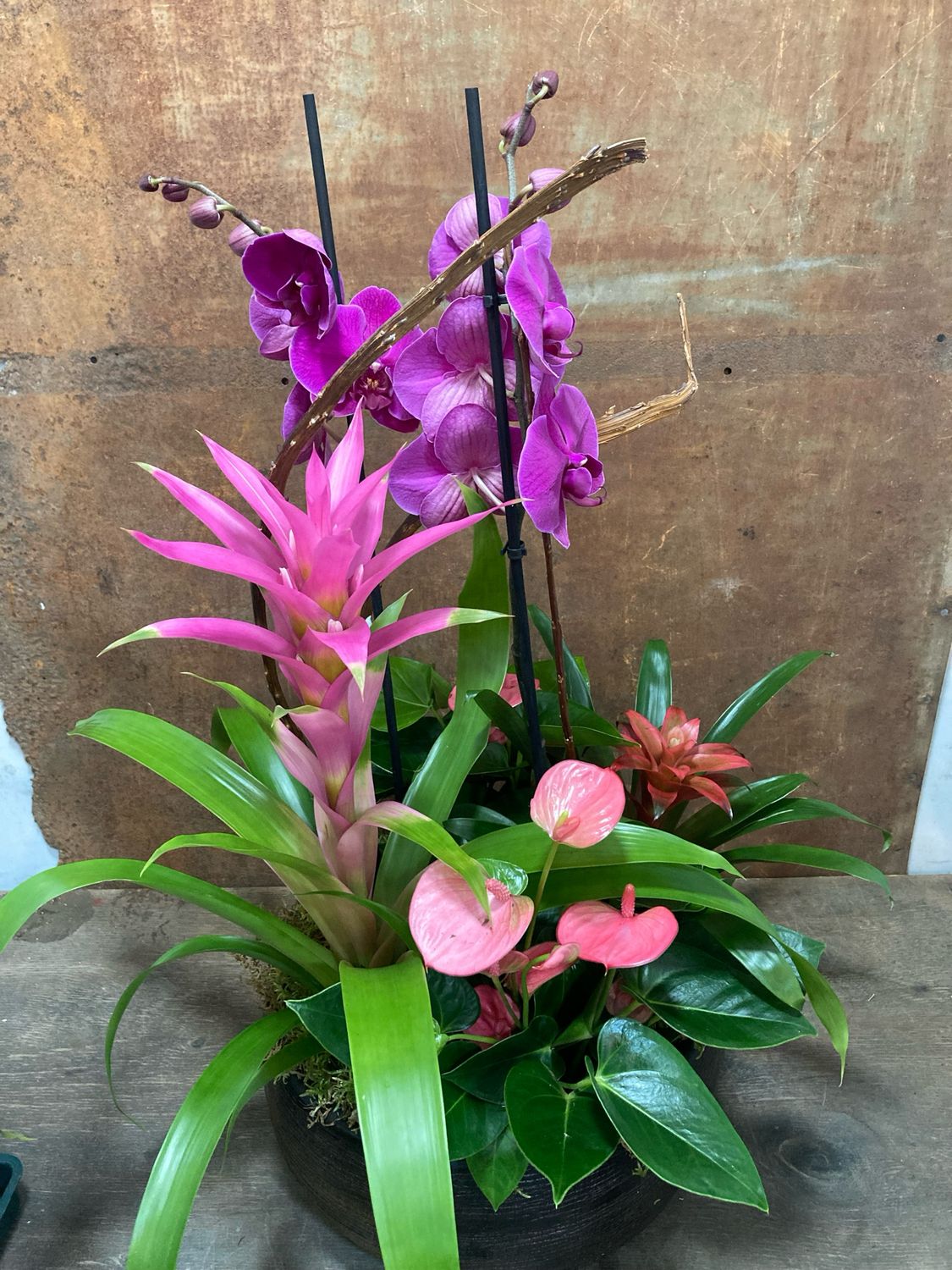 Centre de cerámica amb Phalaenopsis-guzmania-Anthurium 