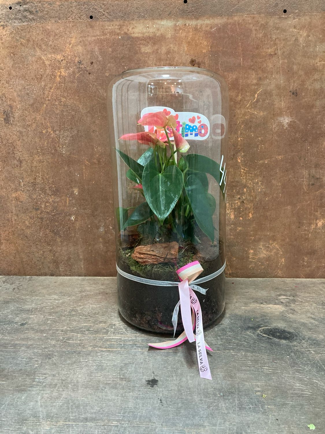 Anthurium amb gerro de vidre 