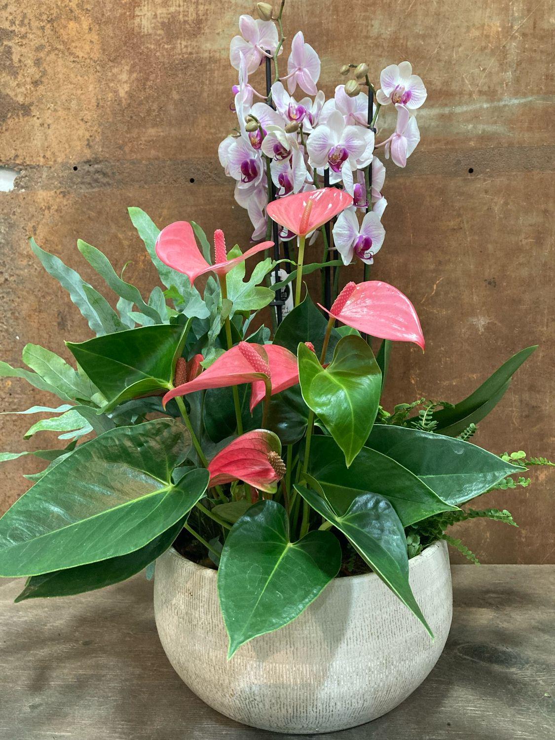 Centre de plantes amb base de ceramica