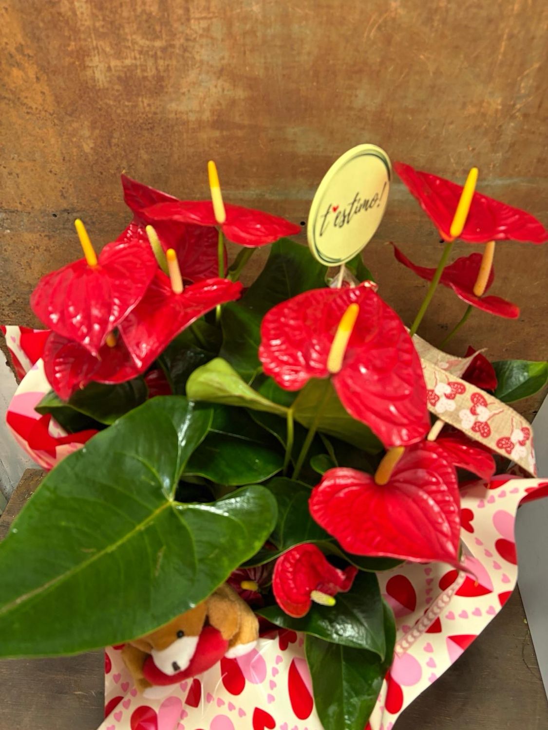 Centre  amb conjunt d’Anthurium vermell