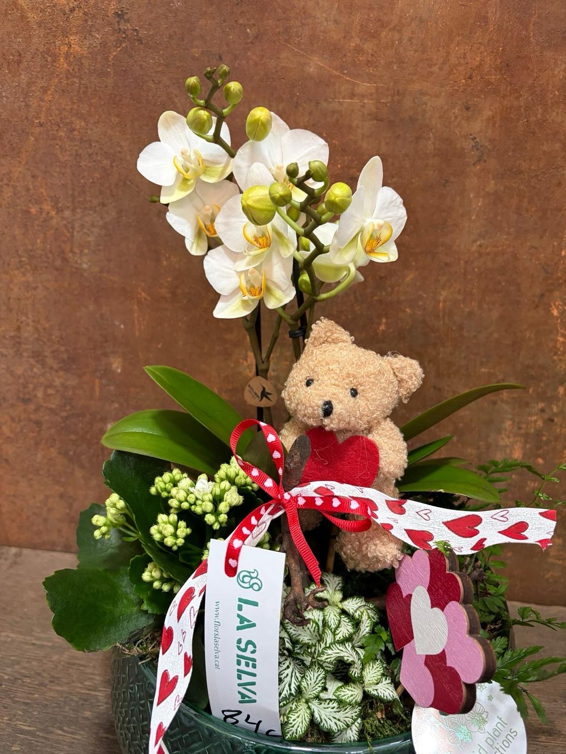 Centre de cerámica amb Phalaenopsis--Kalanchoe-Falguera 