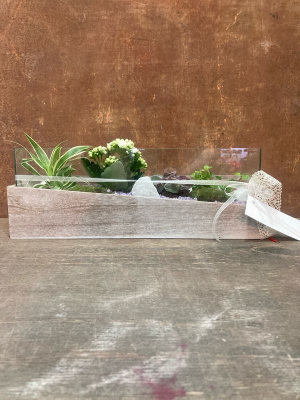 Centre de vidre amb planta natural