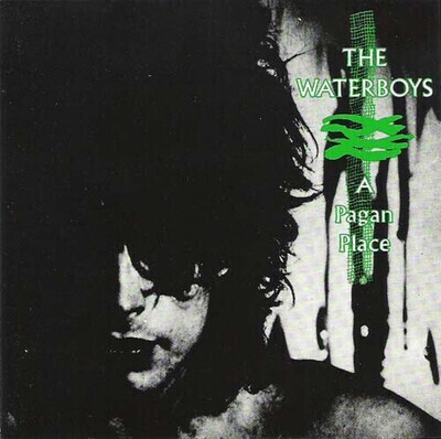 The Waterboys ‎– A Pagan Place