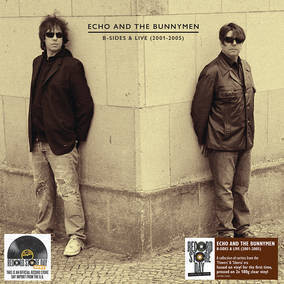 ECHO & THE BUNNYMEN / B-SIDES & LIVE (2001 - 2005) (180G/CLEAR VINYL) (RSD)