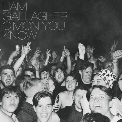 GALLAGHER,LIAM / C'MON YOU KNOW (CLEAR VINYL) (I)